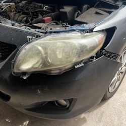 Corolla Headlight 