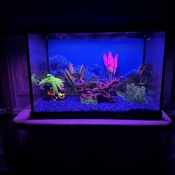 Fish Tank 20 Gallons  With Different Color Of Lights