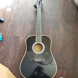 Hybrid Acoustic Guitar
