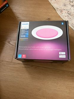 Philips hue 6 inch color changing light
