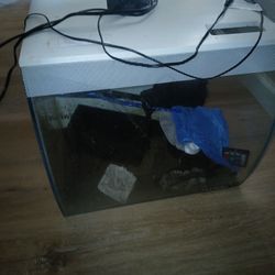 Fluval 15 Gallon Fishtank