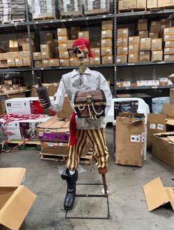 Animated Pirate Sidekick