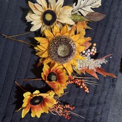 Sun Flowers