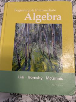 Beginning & Intermediate Algebra