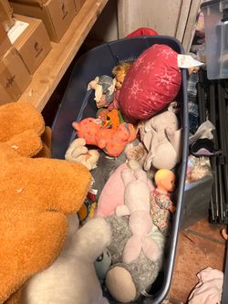 Stuffed animals