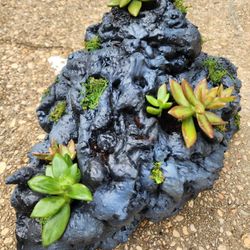 Big Succulent lava rock scape (Planter)