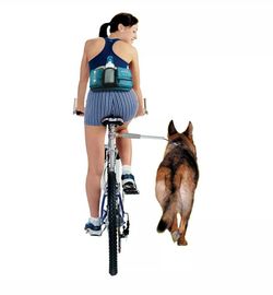 Dog Big Leash