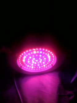 Bloom Boss UFO Light