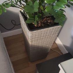Flower Pot 