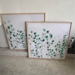 Pictures/mirror 