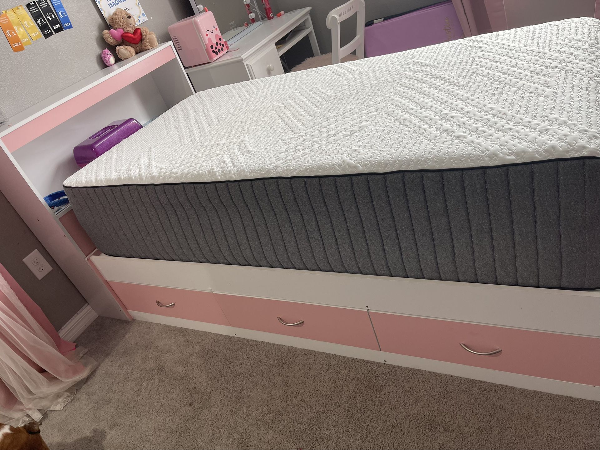 Twin Size Girls Bed Set With Mattress 