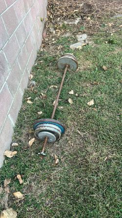 Barbell + 100 Lbs