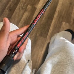 Abu garcia vendetta baitcaster rod