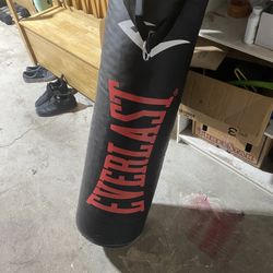 Punching Bag, 100lbs