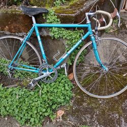 Vintage Bianchi