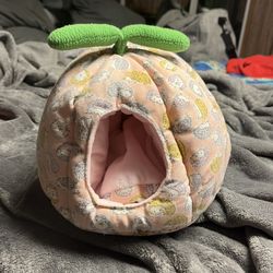 Small Animal Hedgehog Bed (New)