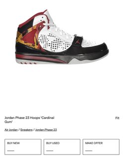 Brand New Jordan Phase 23 — Rare Color