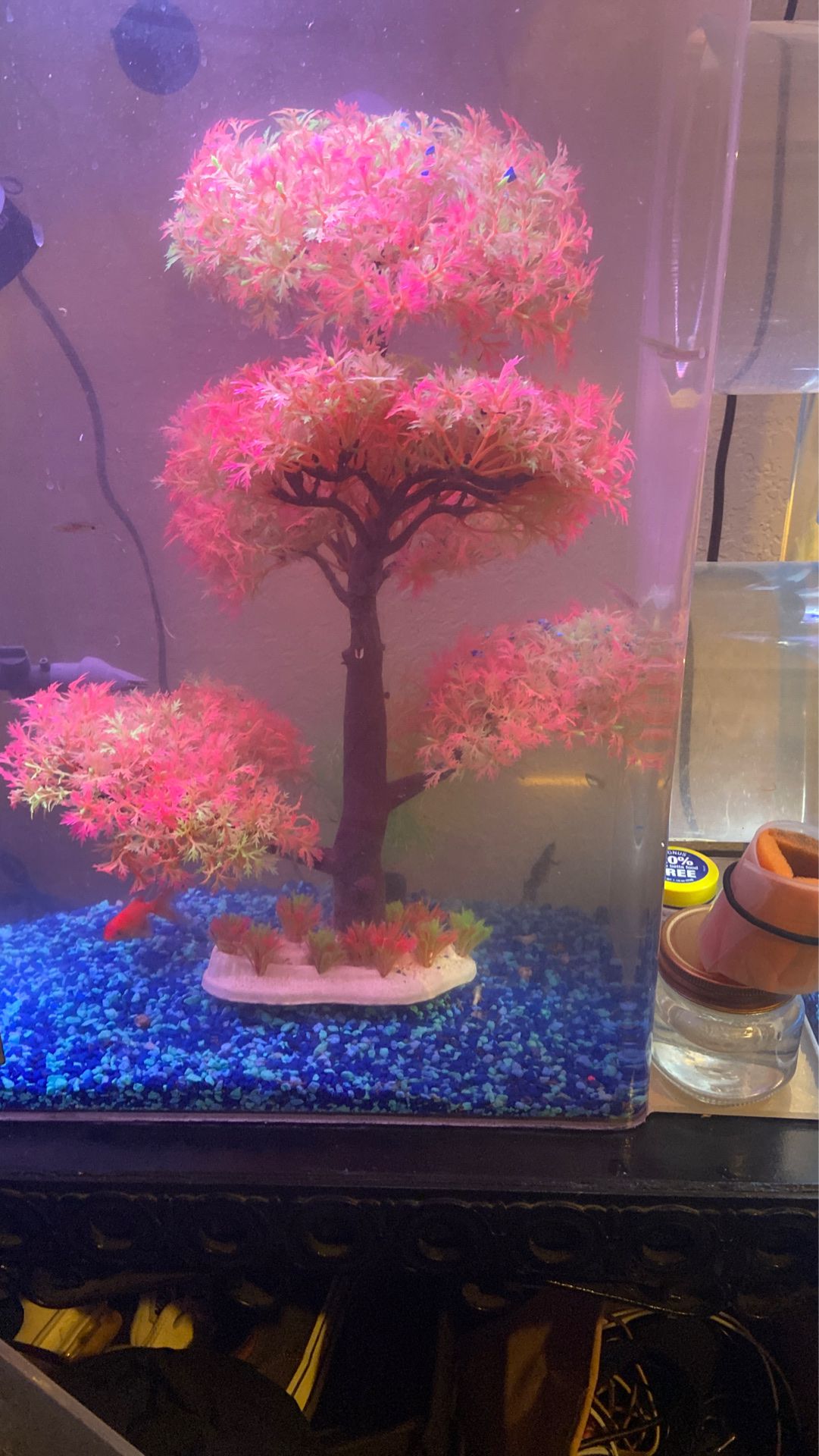Fish tank decorations