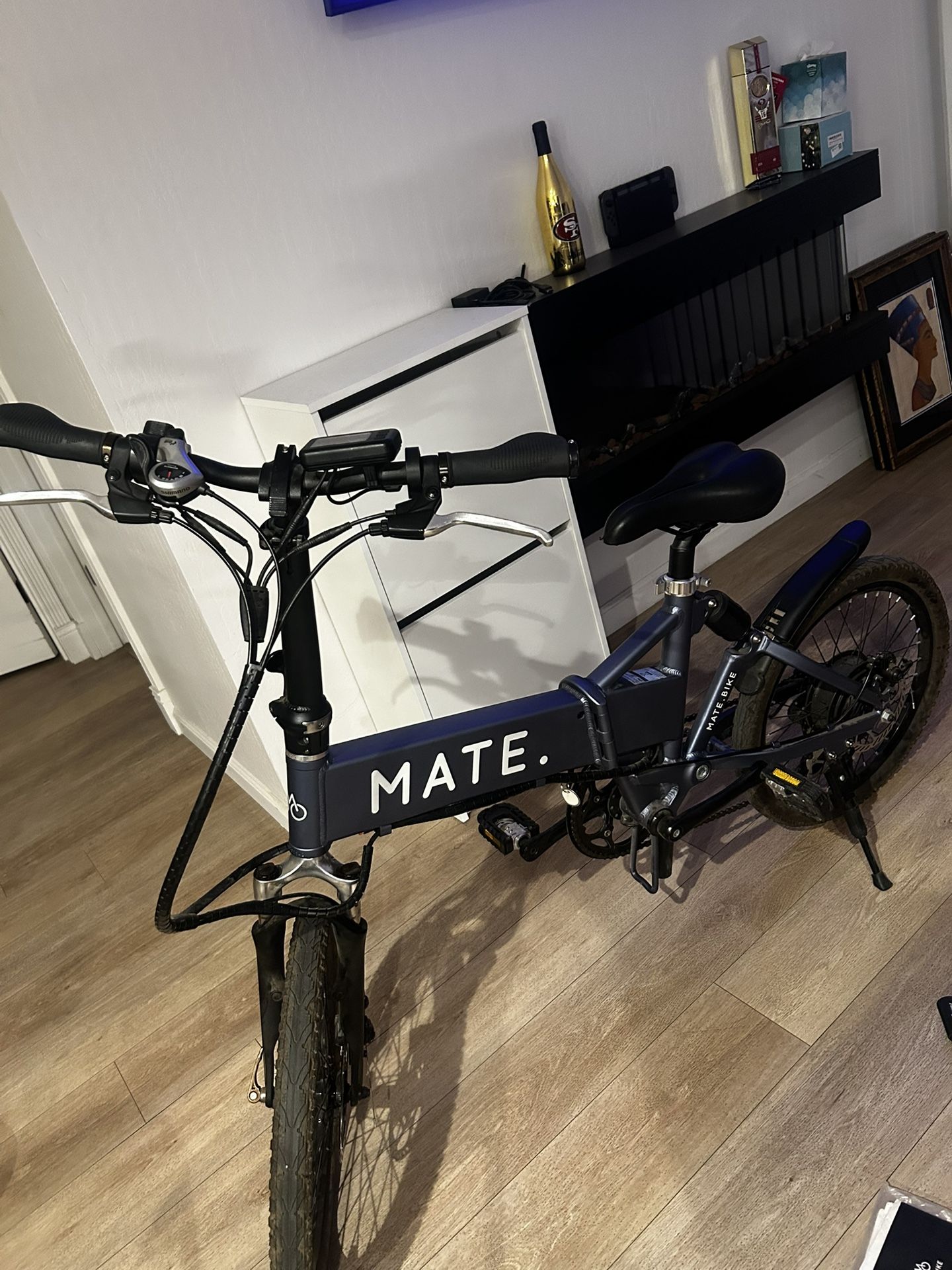 2017 MATE E BIKE