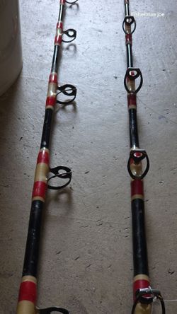 Avet Reel 2 speed/Braid/2 Custom Rod