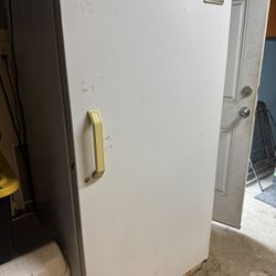 Stand Up Freezer