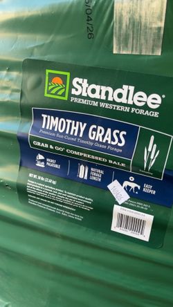 Timothy grass