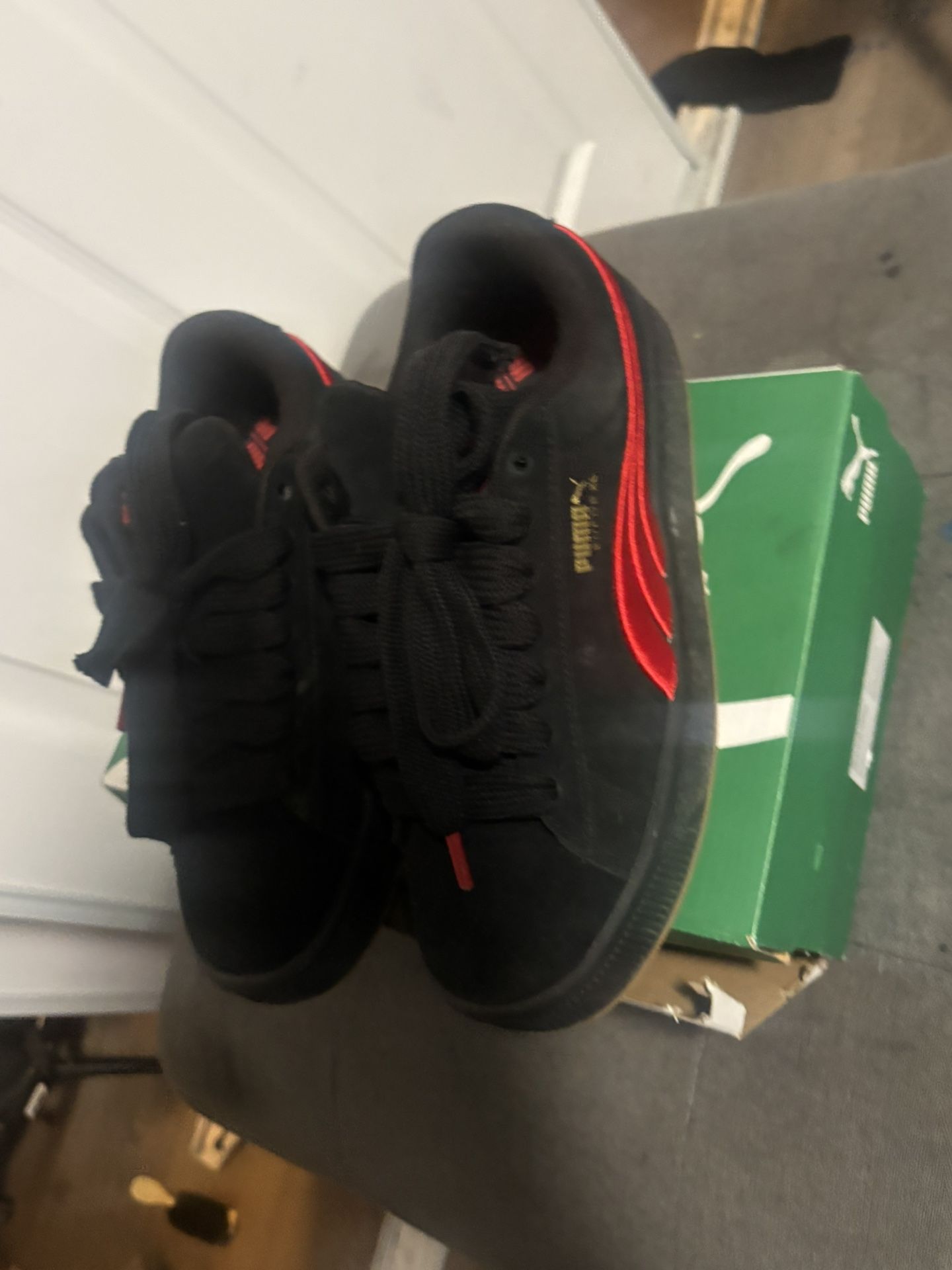 Pumas