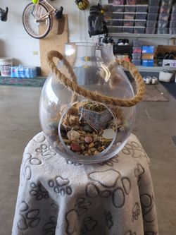 Glass Terrarium