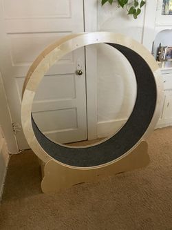 Cat Wheel Exercise Wheel