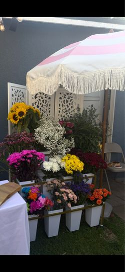 For sale!!!  Bloom bar flower bar!!!