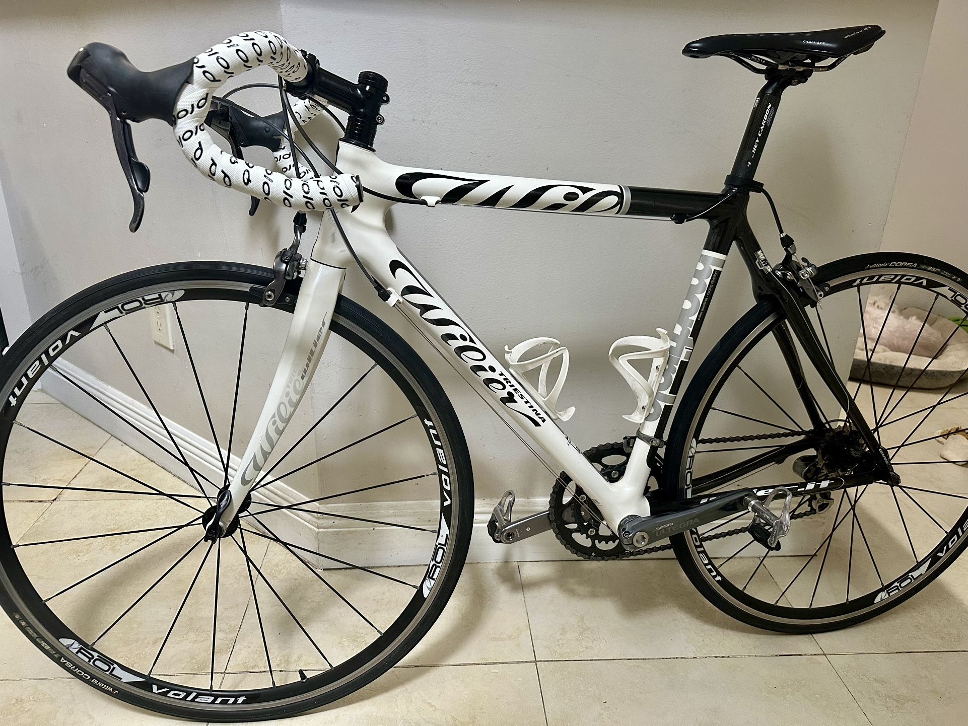 WILLIER TRISTINA MORTIROLO FULL CARBON ROAD BIKE