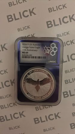 24 Australian wedge tailed eagle