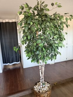 Planta Artificial