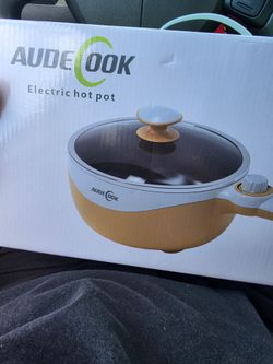Electric hot pot
