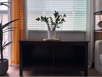 TV console