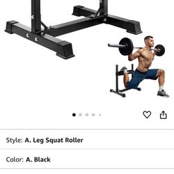 Split Bulgarian Squat Stand