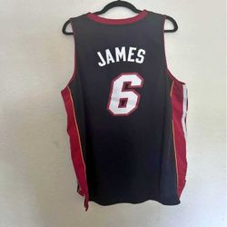 LeBron James Replica Jersey – Authentic Kit for Dedicated Fans exactly its