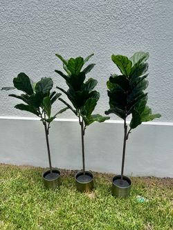Faux Fig Tree
