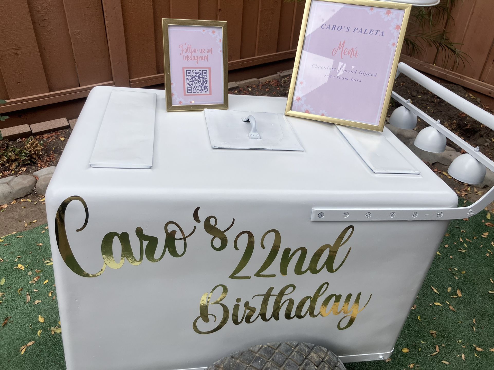 Ice Cream/ Paleta cart (rent Only)
