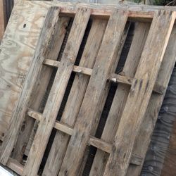 Wood pallet 