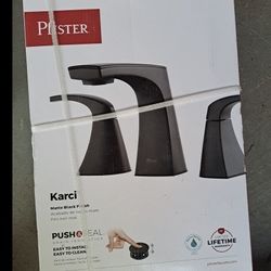 Pfister Black Bathroom Faucet 