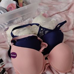 New Bras For Sale