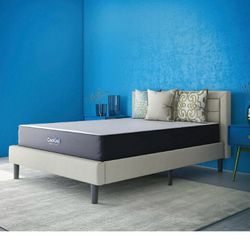 California King MATTRESS ONLY cal King New 