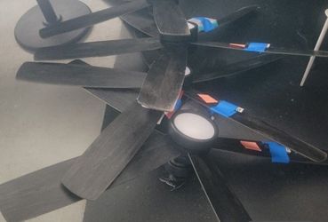 Black Ceiling Fans