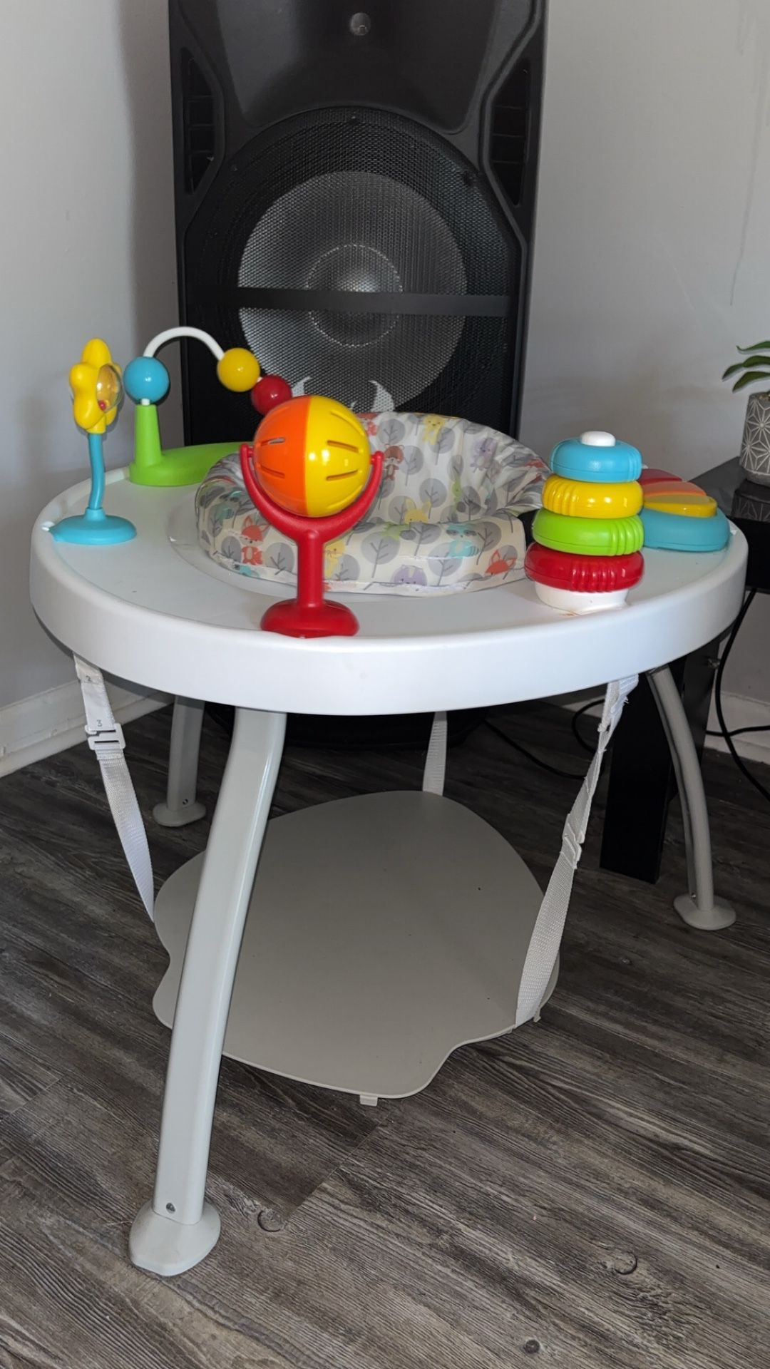 Baby Bounce And Play