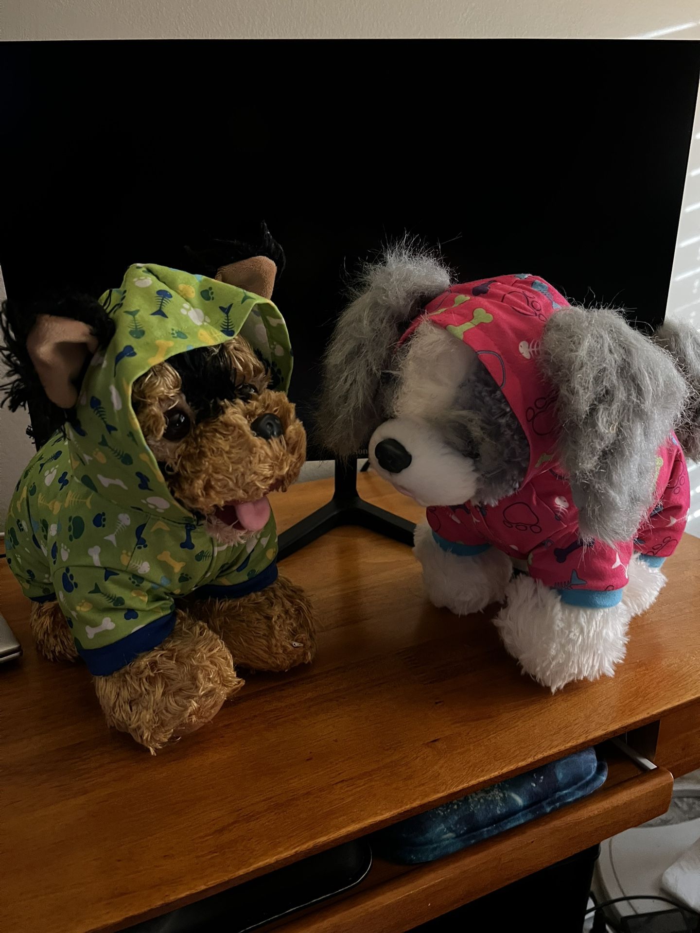BAB Shih Tzu And Yorkie With Night Clothes