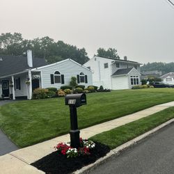 Mulch / Trim / Plant 