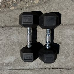 20lb Dumbbell