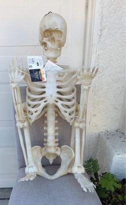 5 ft. LED Poseable Skeleton