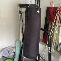 Everlast Punching Bag Stand Century Heavy bag And Hayabusa Gloves